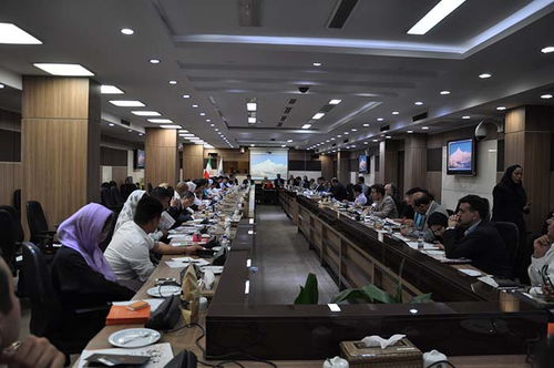 攜手中東，共創未來 云南商務代表團赴阿聯酋、沙特、伊朗開拓經貿合作新篇章